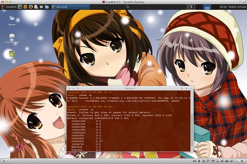 FreeBSD 9.2 running in Parallels Desktop 9