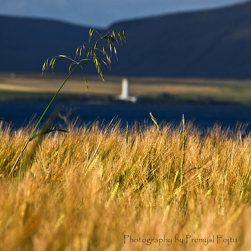 light sea summer lighthouse seascape field grass canon landscape island scotland orkney hoy crops graemsay