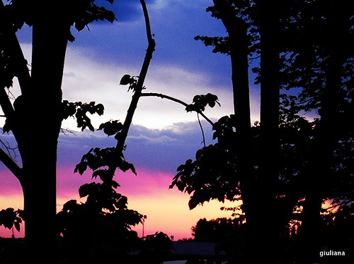 trees sunset sky alberi backlight clouds contraluz tramonto nuvole cielo controluce atardacer nikoncoolpixs610
