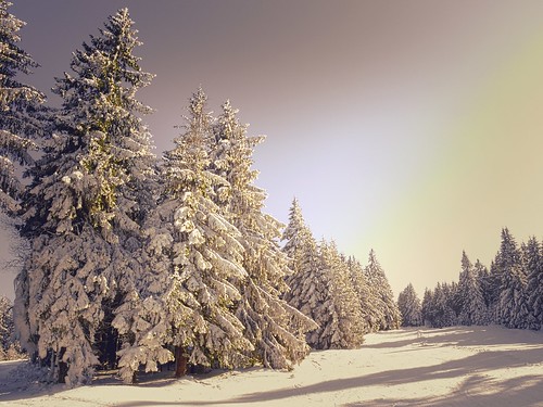 wood winter sunset sun white snow ski tree bayern bavaria pentax snowstorm winterwonderland pentaxonly pentaxk5