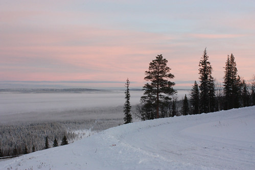 trees ski pine sunrise sweden resort lapland gällivare