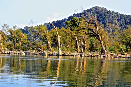 reflections on the Mekong river