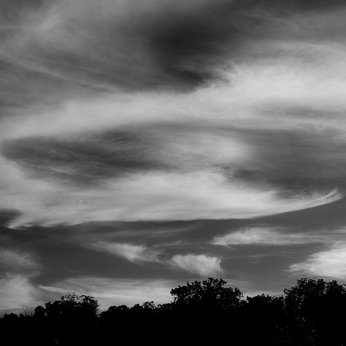 d5000 nikon blackwhite bw clouds forest monochrome noahbw sky square summer trees woods blackandwhite cloudsskiesandsuch