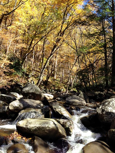 autumn fall golden stream boulders smokies chimneys rushing gsmnp mountainstream jennypansing