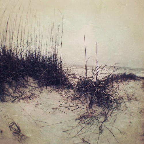 Winter: Sea Grass