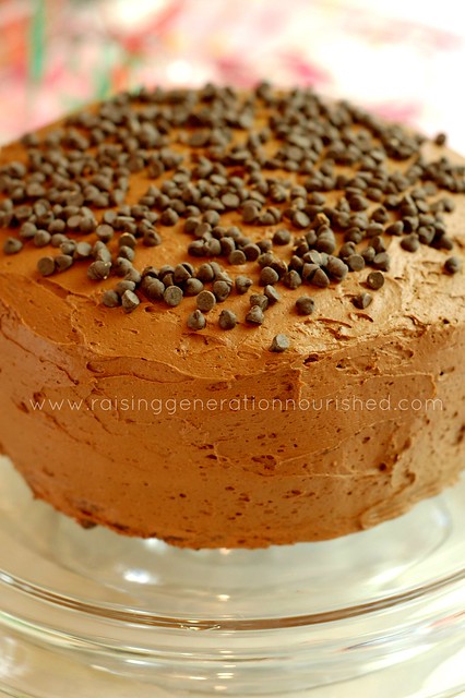 Chocolate Birthday Cake :: Gluten Free, Egg Free, Nut Free
