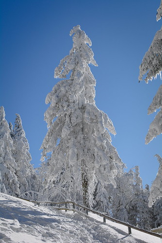 blue winter sky sun white snow tree 35mm fence germany afternoon path schwarzwald blackforest bergstation schauinsland nikond7100