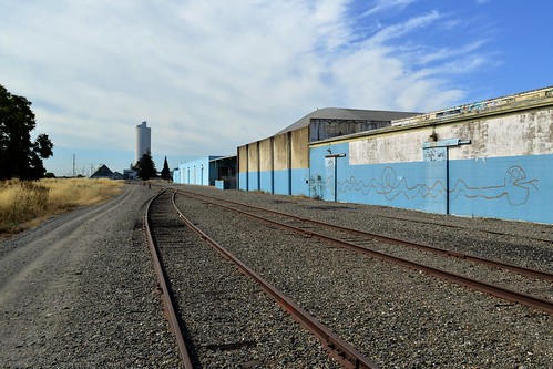 graffiti snake silo railroadtracks hamiltoncity glenncounty hollysugarplant