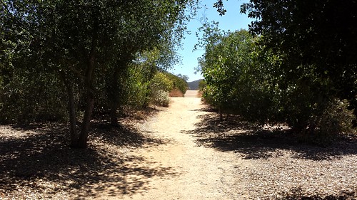 ironmountain poway california ca hiking trail hike