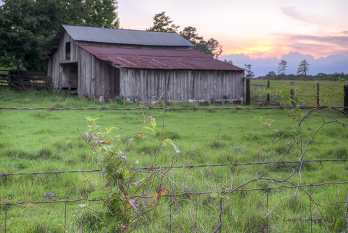 sunset barn rural fence mississippi barbedwire copiahcounty