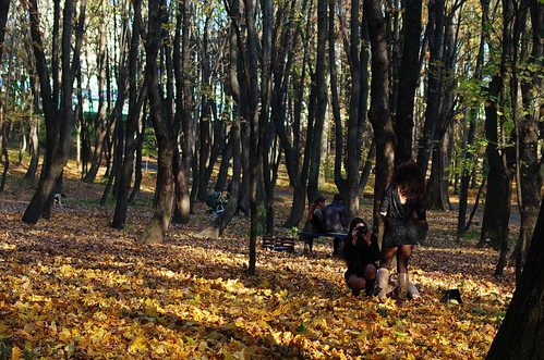 autumn fall pentax fallcolors autumncolors fa31 smcpentaxfa31mmf18allimited smcpfa31mmf18 justpentax pentaxk5iis k5iis
