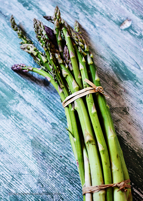 asparagus© by Haalo