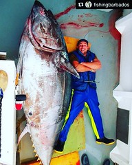 BIG ENOUGH! ⁉️⁉️ #mahigeerwatersports #fishingislife #fishing #fishingdaily #repost www.mahigeer.com