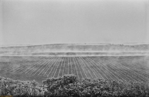 longexposure mist film field fog landscape scotland farm foggy a1 haddington eastlothian argriculture thegreatnorthroad besidetheroad