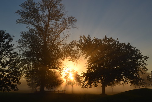 trees mist fall nature silhouette sunrise dawn nikon lockport