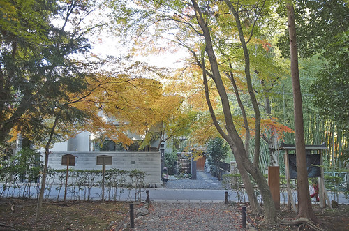 【写真】2013 紅葉 : 地蔵院/2019-12-10/IMGP4112
