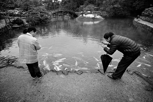 street bridge winter blackandwhite japan garden photographer candid sony takamatsu koi getty editorial 日本 carp kagawa 冬 gettyimages 公園 橋 flickrvision ritsurin 白黒 鯉 香川 高松 スナップ ストリート 写真家 apsc 栗林 nex7 sel1018 e1018mmf4oss ©jakejung