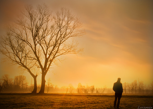 sunrise alba campagna sole siloutte assago