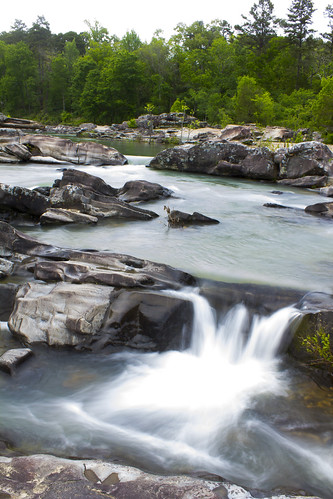summer green nature water rock forest river wildlife rapids arkansas cossatot