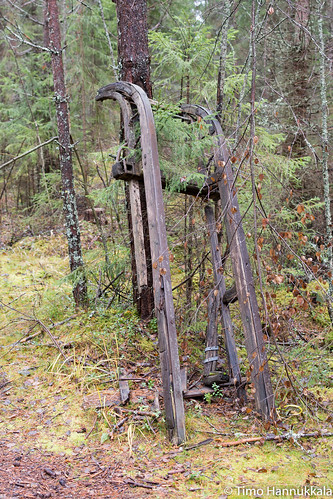 autumn abandoned nature forest finland reki nikon frame fi recreation sleigh orivesi runko pirkanmaa hylätty d7100