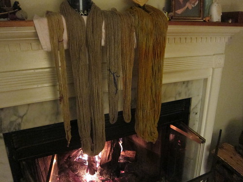 Woolly mammoth drying over the hearth