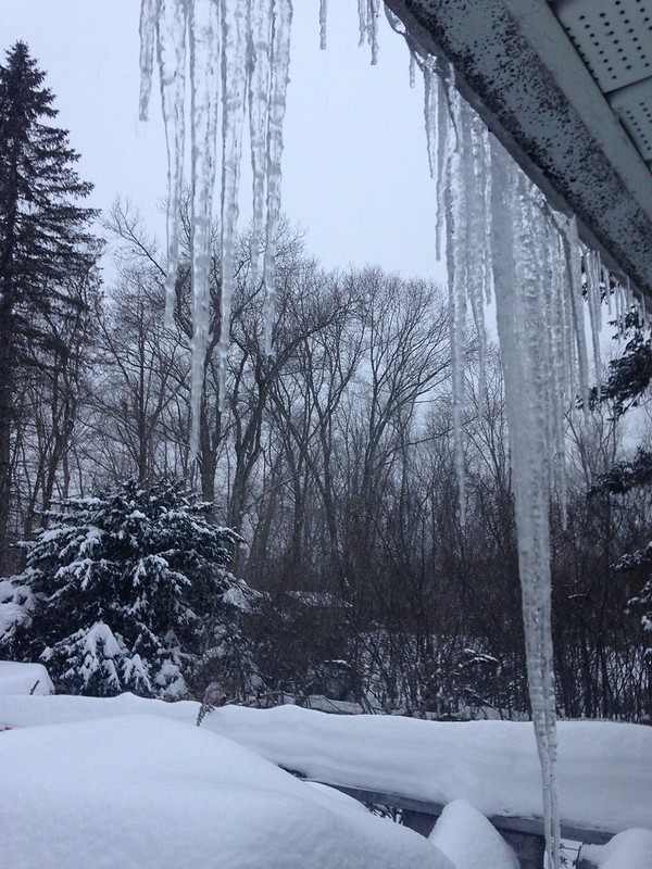 Icicles getting long