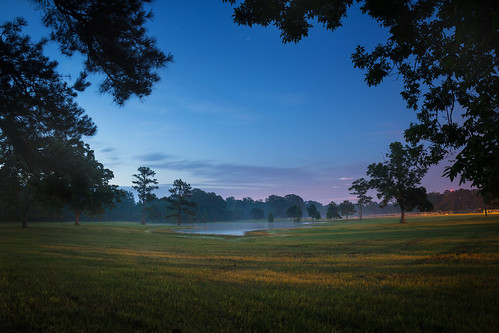 morning rural dawn louisiana horsepond