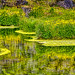 Landmannalaugar Hot Springs - 3rd Place Published Images - Bill Horton