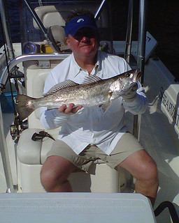 Awesome speckled trout