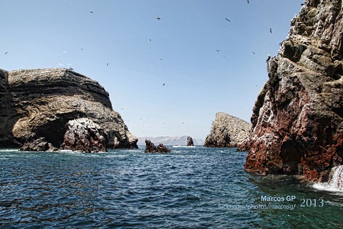 marcosgp pisco paracas reserva mar sea roca rock ica peru