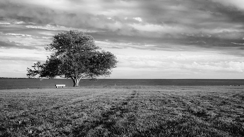 park blackandwhite tree monochrome landscape ct olympus september waterford harkness fav25 2013 fav35 fav45 epm2 olympusepm2