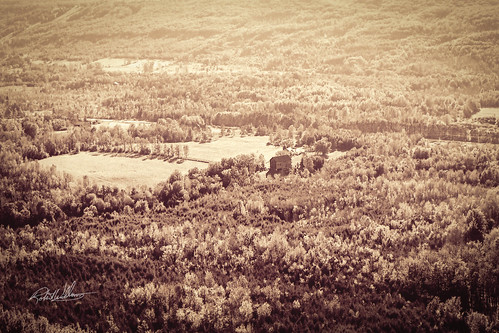 ontario canada film forest 35mm landscape asahi pentax farm valley kimberley brands printscan oldbaldy beavervalley greycounty spotmaticf ilfordxp2super400