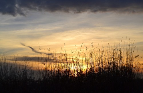 sunset sky grass silhouette clouds landscape twilight nikon scenery britishcolumbia beautifulearth memberschoice newenvyofflickr d3100 nikond3100 thebestofbeautifulearth bestofloversoflandscapes chrisoftheworld executivemembersofbeautifulearth