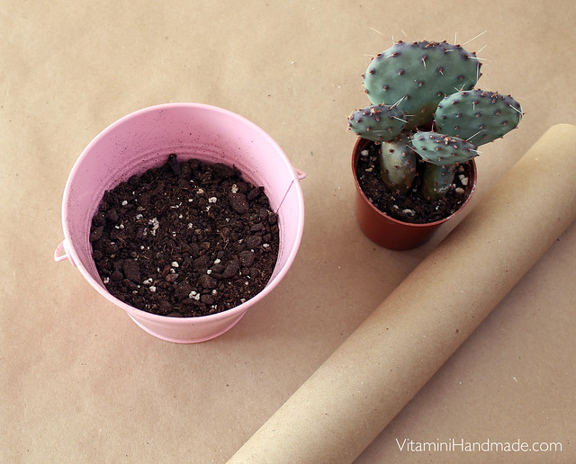 DIY Valentine Succulent Planters with free printable!