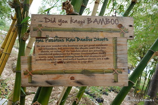 bamboo-palace-gk-enchanted-farm.jpg