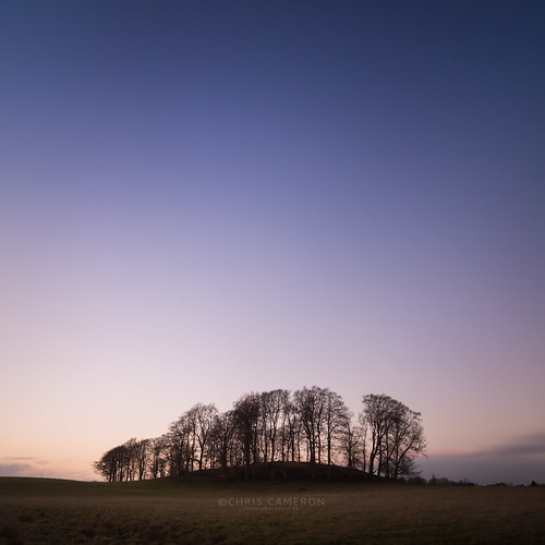 sunset sky tree canon landscape eos scotland copse waterfoot chriscameron 5dmkiii