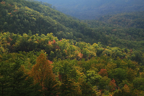 autumn fall tourism forest canon landscape eos tennessee fallcolors scenic fallfoliage overlook smokymountains cosby 6d