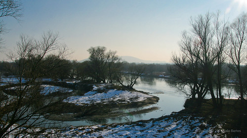 winter wild snow nature water nova canon river landscape austria march europe border ducks eu slovensko slovakia palo zima bratislava devinska ves sneh morava bartos rieka dnv bartoš