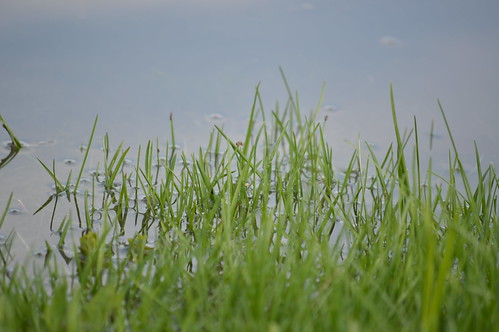 park reflection grass iowa plainfield nikond3200
