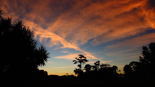 morning pink blue red wallpaper color tree halloween yellow pine sunrise dawn flickr florida bradenton mullhaupt jimmullhaupt