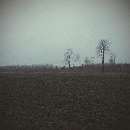 trees winter nature field finland landscape europe iphone kouvola mustajoulu iphone5s vscocam