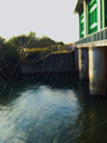 morning sunrise river web watergate iphone5 vsco vscocam uploaded:by=flickrmobile flickriosapp:filter=nofilter