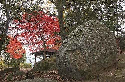 【写真】2013 紅葉 : 笠置山もみじ公園/2021-10-24/IMGP3625