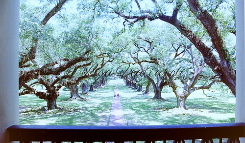 us mississippi louisiana alabama tennessee georgia northcarolina travel oak plantation oakalleyplantation film