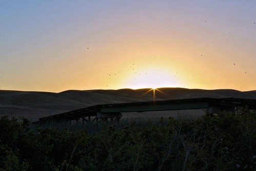 northerncalifornia sunrise dawn heatwave solanocounty suisunmarsh potrerohills joyceisland