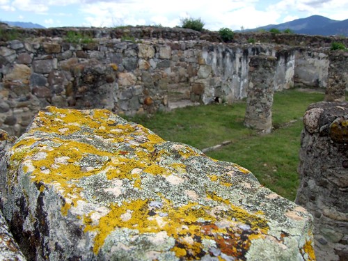 mexico ruins natur ruinas oaxaca landschaft mexiko ruinen ausgrabungsstätte sitioarcheologic0