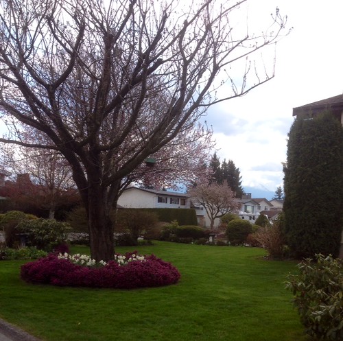 It's Spring in Chilliwack.