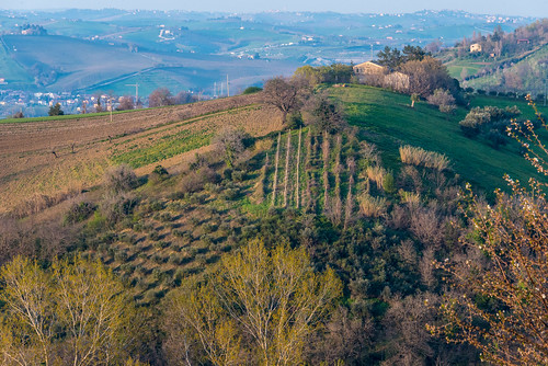 camera trees sky italy haze italia hills valley marche ancona lemarche topography cupramontana nikond800 nikon28300mmf3556 poggiocupro