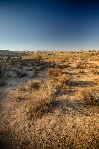 california usa canon weed shadows unitedstates desert