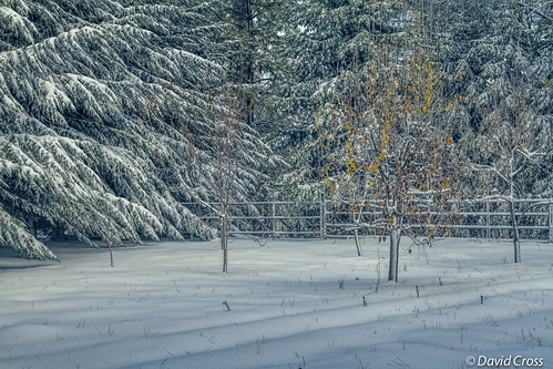 california autumn snow fall home northerncalifornia 35mm earlymorning nevadacity nevadacounty sierranevadarange sierranevadafoothills cementhillroad canon7d lightroom5 topazsw canonef35mmf2isusm